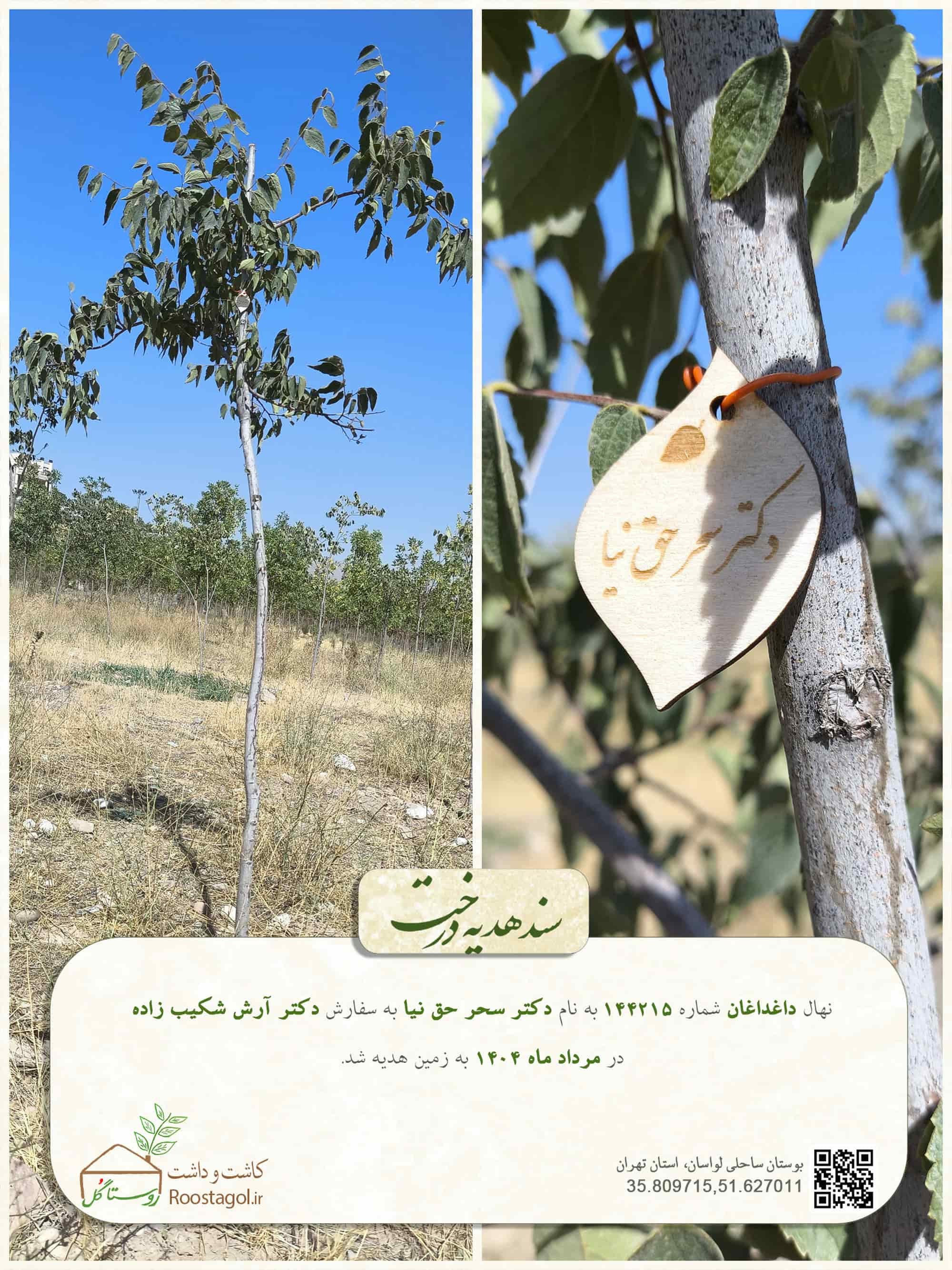 دکتر سحر حق نیا